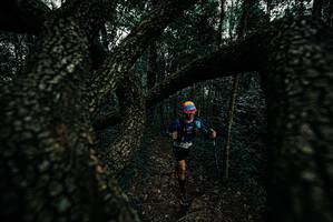 BIB: 
                            <button type="button" onclick="openModal(25690180)" class="btn btn-primary btn-sm float-right btn-popup" data-toggle="modal" data-target=".modal-high-quality">
                        <i class="fas fa-shopping-cart"></i> Add to Cart
                    </button>
                                            <button type="button" onclick="isThisMe(25690180, true)" class="btn btn-success btn-sm float-right btn-popup btn-isme hidden" data-toggle="tooltip" data-placement="bottom" title="นี่คือรูปของคุณใช่ไหม คลิกที่นี่เพื่อเอาเข้าอัลบั้ม">
                        <i class="fas fa-plus"></i> Add to album
                    </button>
                    <button type="button" onclick="isThisMe(25690180, false)" class="btn btn-warning btn-sm float-right btn-popup btn-isnotme hidden">
                        <i class="fas fa-ban"></i> Remove from album
                    </button>